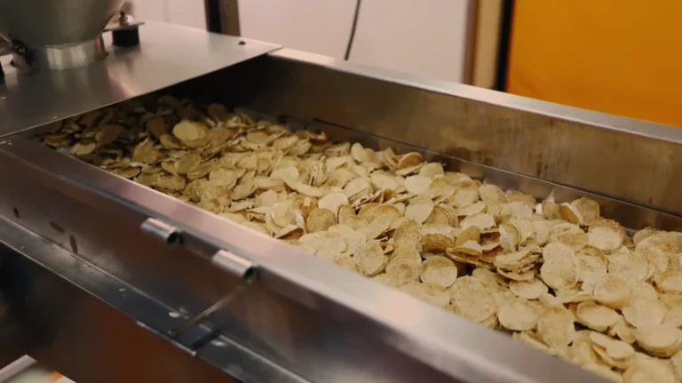 chips de lentilles sans gluten sur un tapis roulant dans une usine